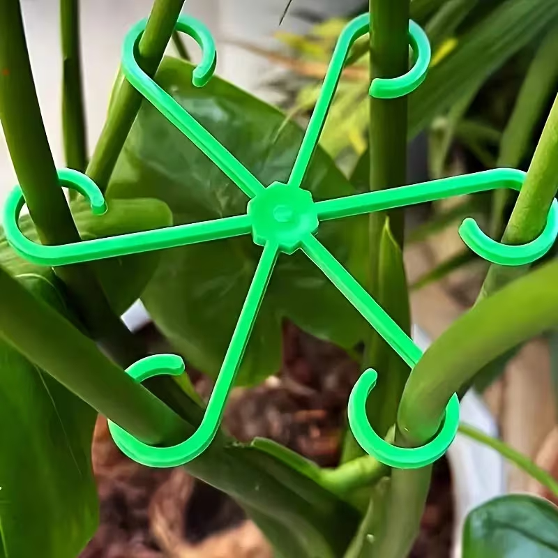 Variegated Monstera Node - Set di 8 Supporti per Steli