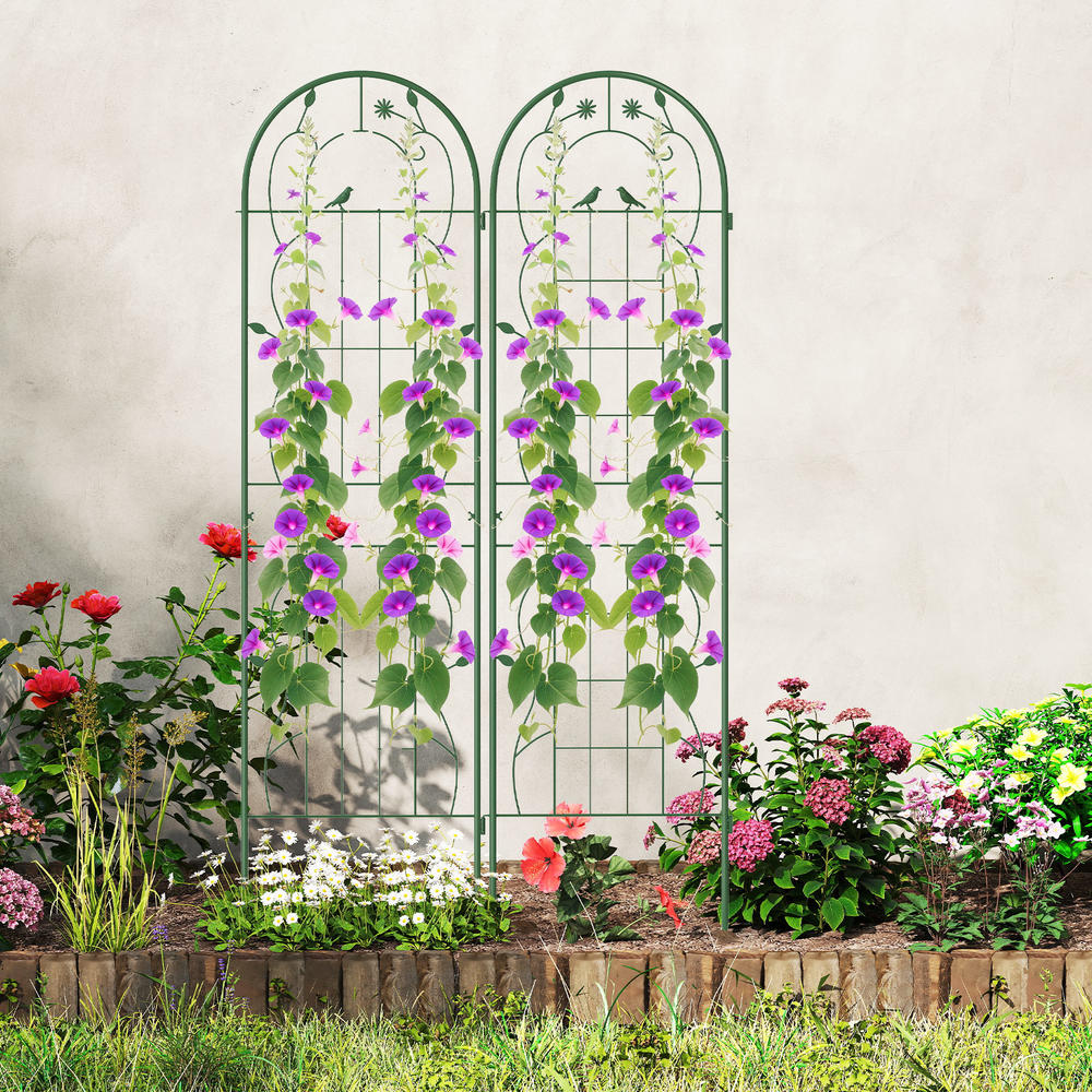 Plants X - Confezione da 4 tralicci da giardino