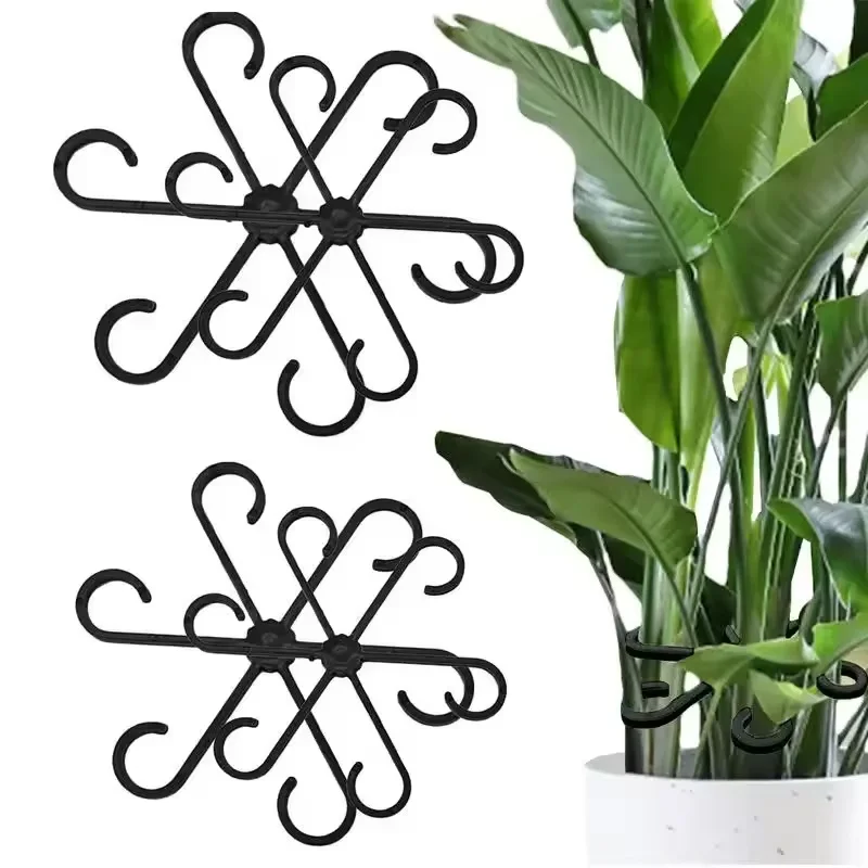 Variegated Monstera Node - Supporti per foglie di Alocasia e