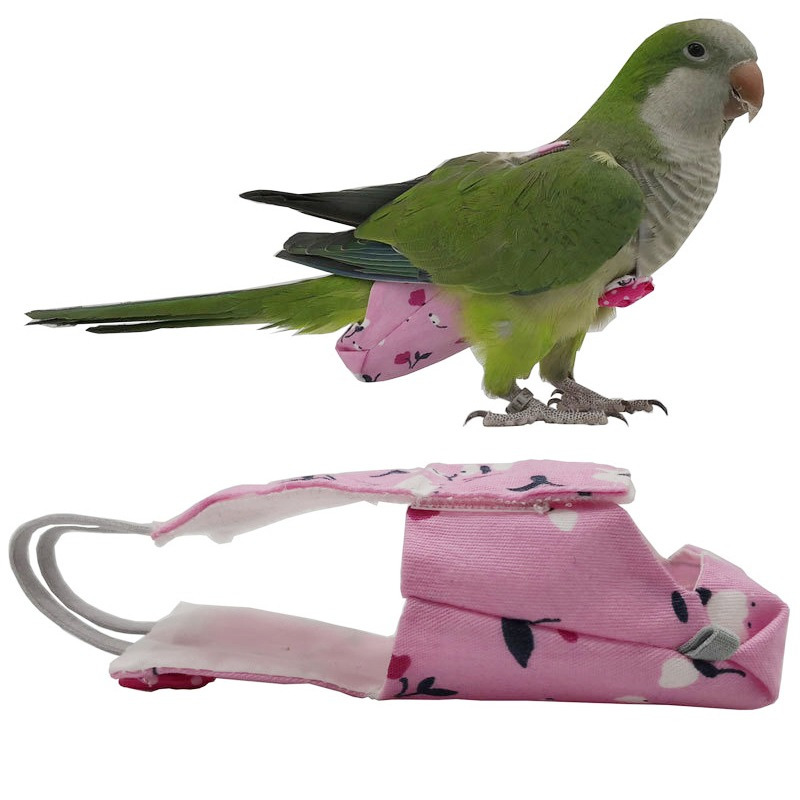 Plant Parenthood - Pannolino per pappagalli con papillon Carino