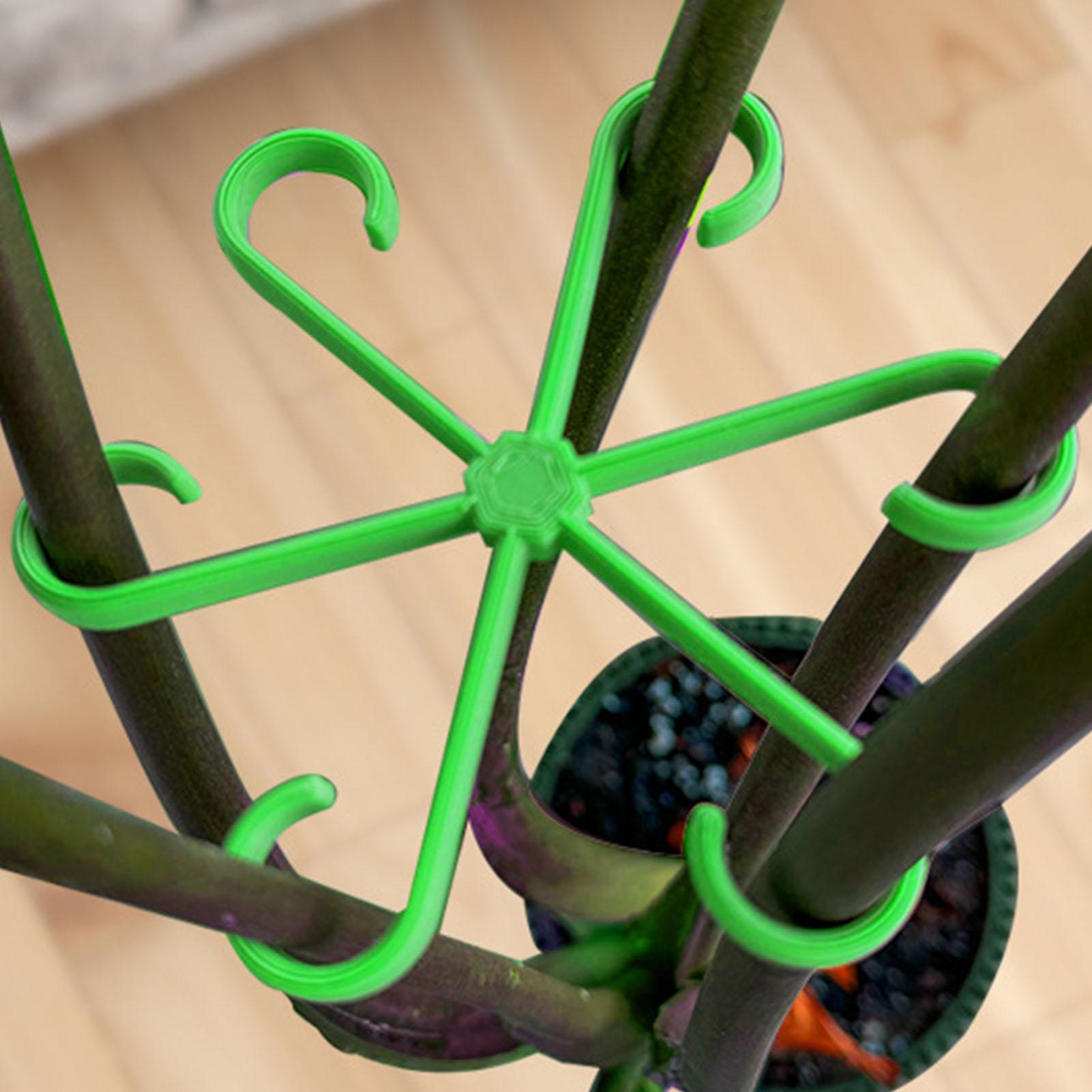 Variegated Monstera Node - 4 Pezzi Clip di Supporto per
