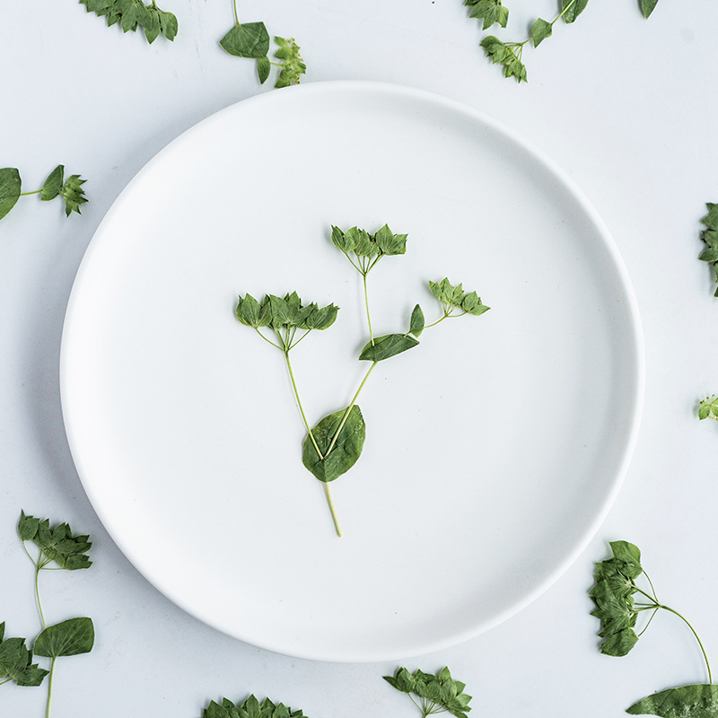 Plant Parent Sticker - 60 Pezzi di Erba con Orecchie