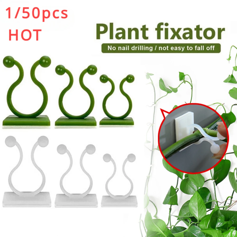 Plant Parents - 1/30/50 pezzi per accessori da giardino