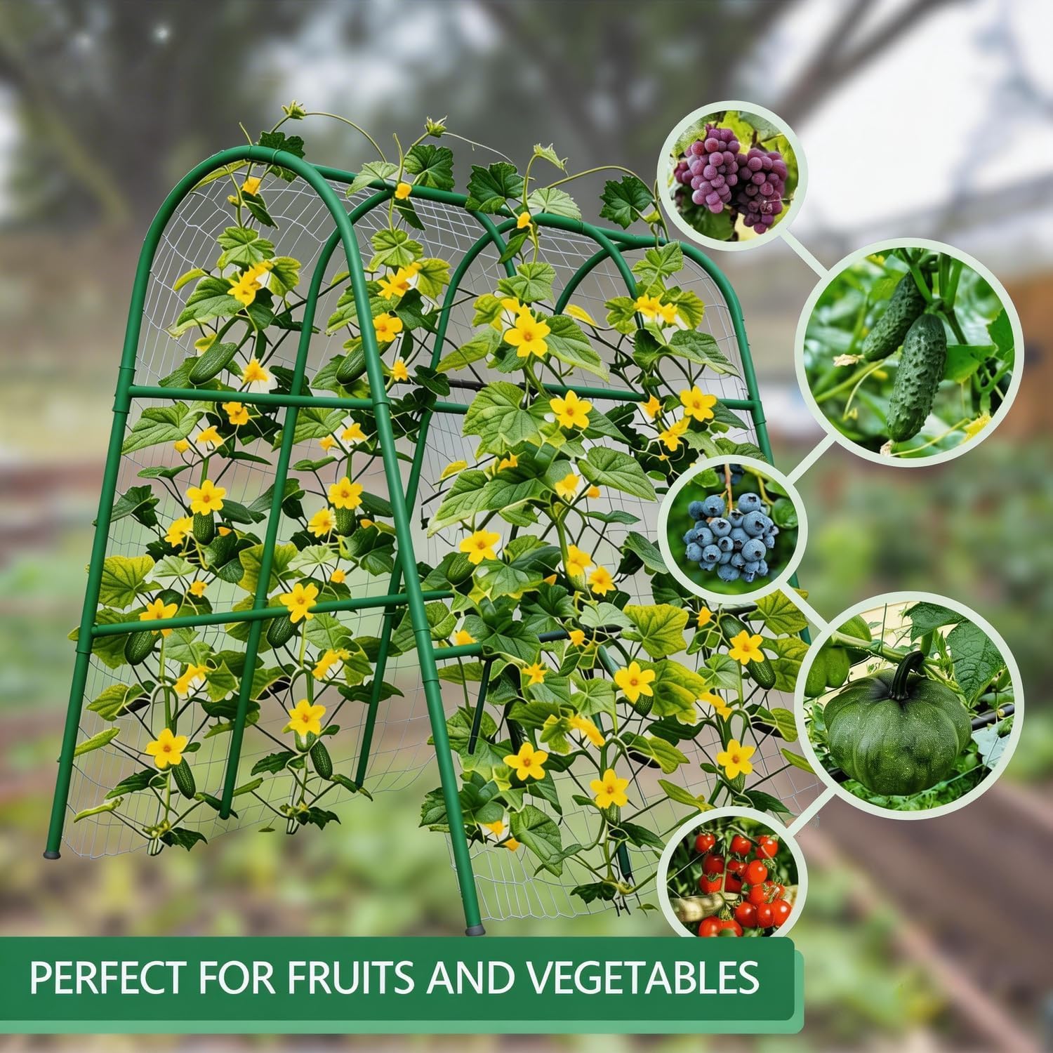 Arco da Giardino 4x5.3FT per A - Plants X recensione e prezzo