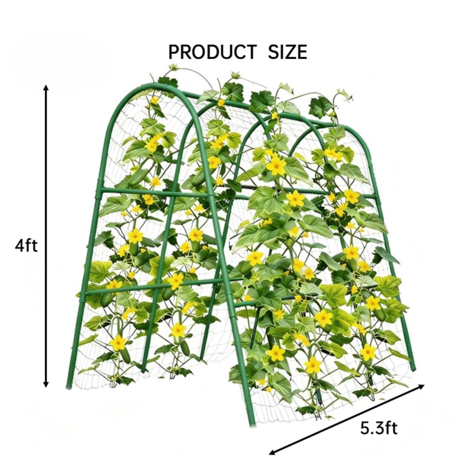 Arco da Giardino 4x5.3FT per A - Plants X recensione e prezzo