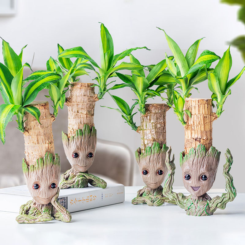 Vaso moderno e minimalista Dec - Plant Parents recensione e prezzo