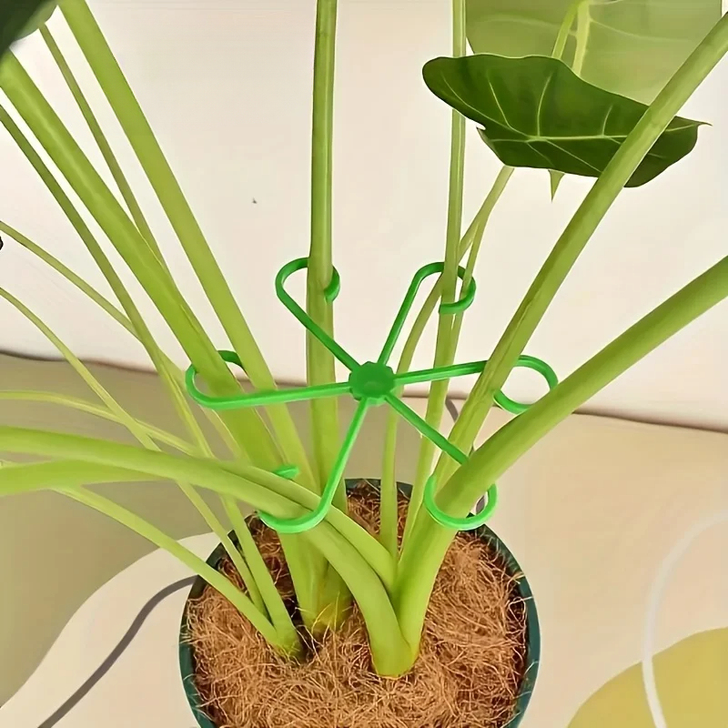 Set di 8 Supporti per Steli di - Variegated Monstera Node recensione e prezzo