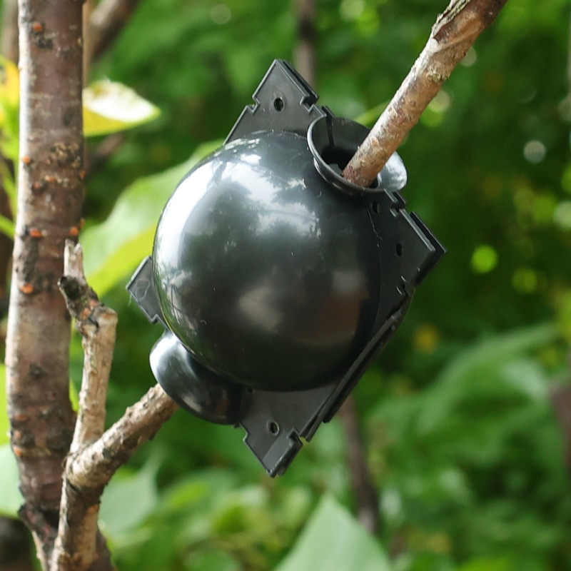 Strumenti per innesto a sfera  - Plant Parents recensione e prezzo