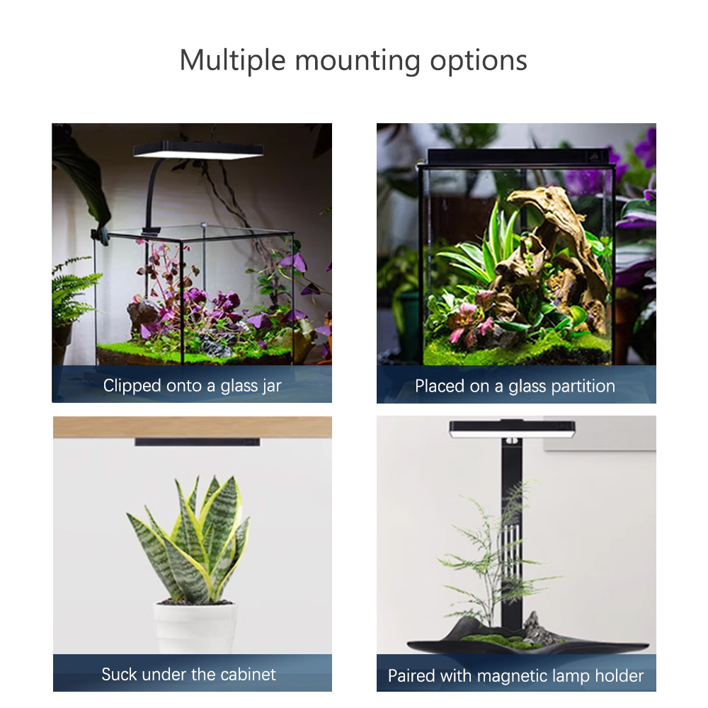 WEEK AQUA RGB + UV Nuovo modal - Plant Parent App recensione e prezzo