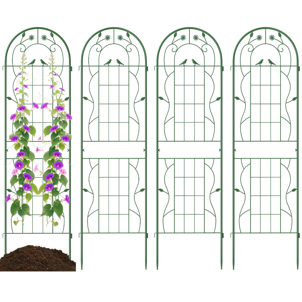 Confezione da 4 tralicci da gi - Plants X recensione e prezzo