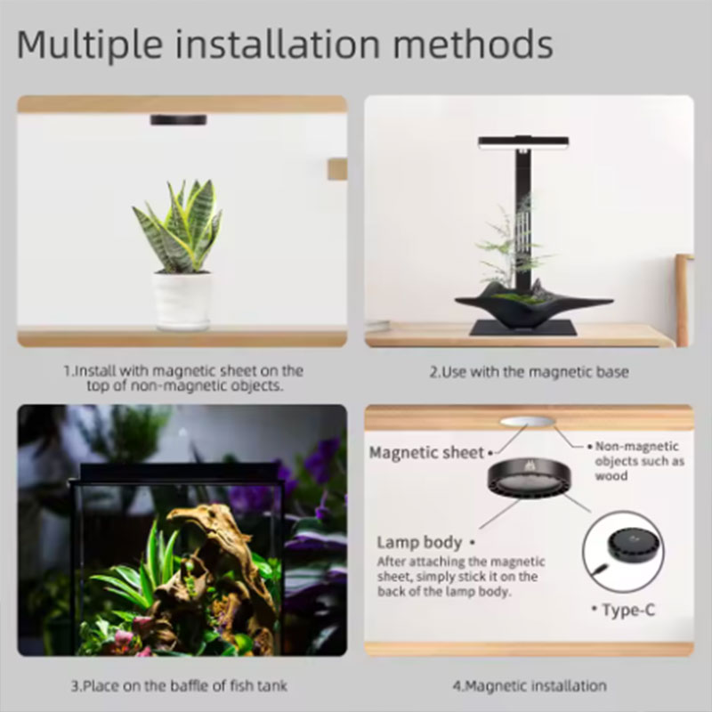 Lampada per Crescita Piante WE - Plant Parent App recensione e prezzo