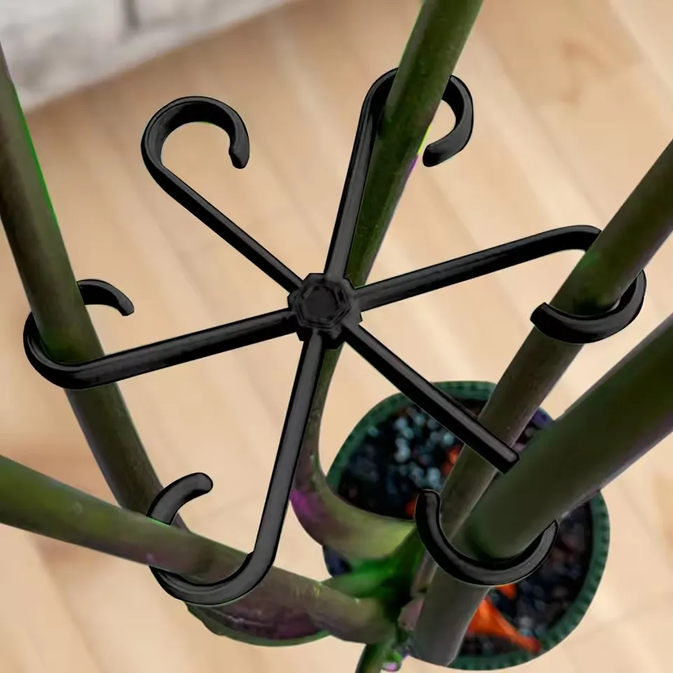 Supporti per foglie di Alocasi - Variegated Monstera Node recensione e prezzo