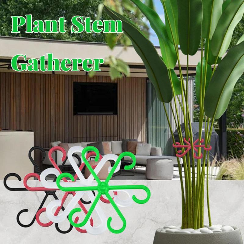 4 pezzi clip di supporto per p - Variegated Monstera Node recensione e prezzo