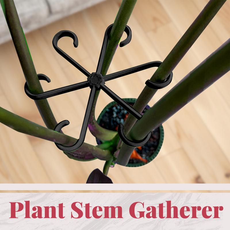4 pezzi clip di supporto per p - Variegated Monstera Node recensione e prezzo