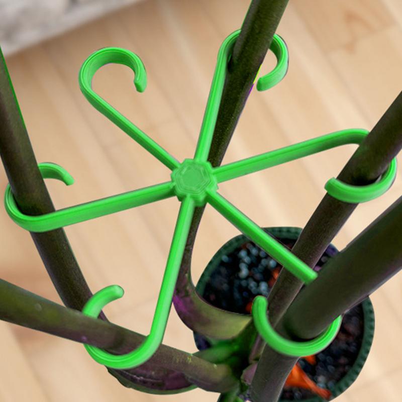 4 pezzi clip di supporto per p - Variegated Monstera Node recensione e prezzo