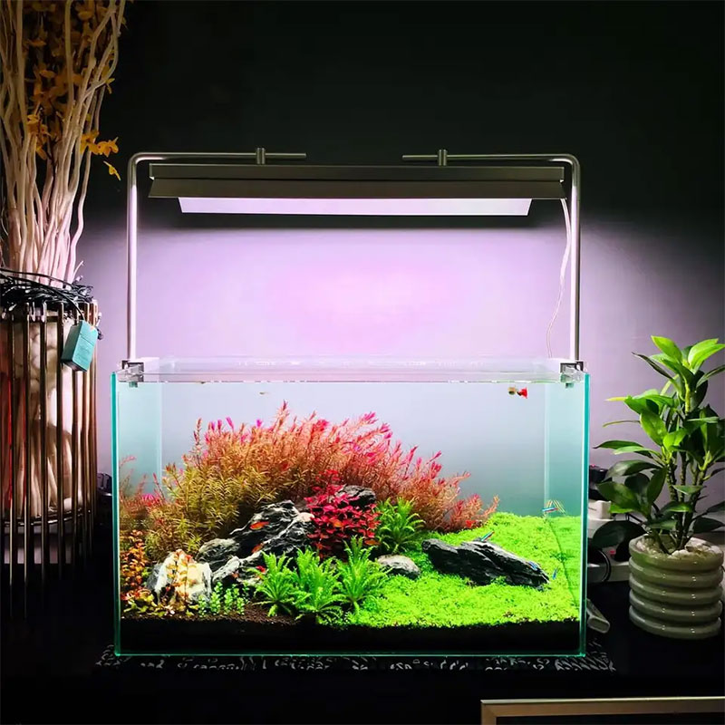 WEEK AQUA Serie L, Lampada LED - Plant Parent App recensione e prezzo