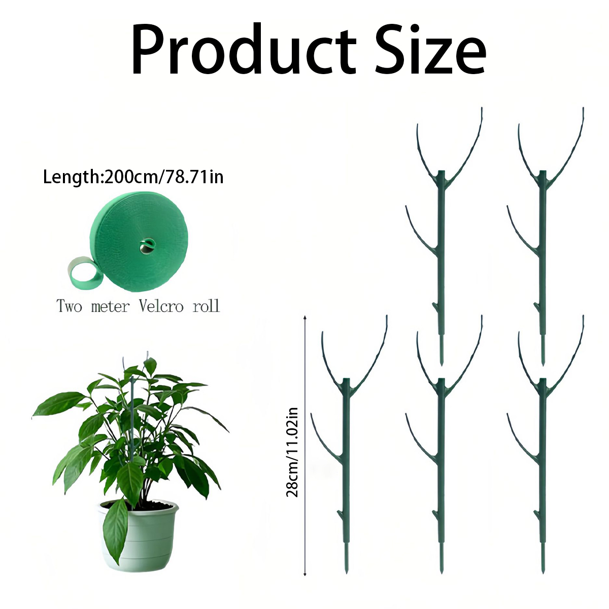 6 Pali di Supporto per Piante  - Variegated Monstera Node recensione e prezzo