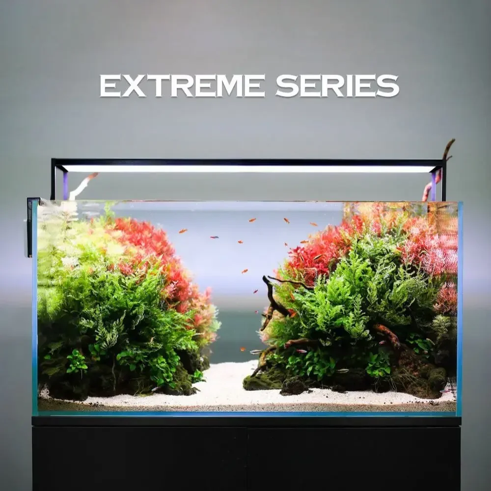 MICMOL Extreme Series II Smart - Plant Parent App recensione e prezzo