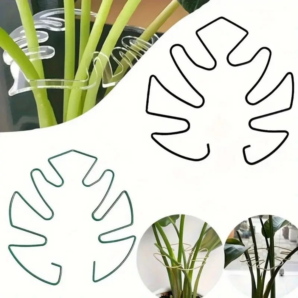 Supporto per Piante da Interno - Variegated Monstera Node recensione e prezzo