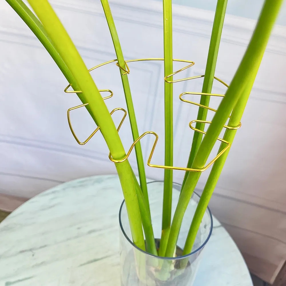Supporto per Piante da Interno - Variegated Monstera Node recensione e prezzo