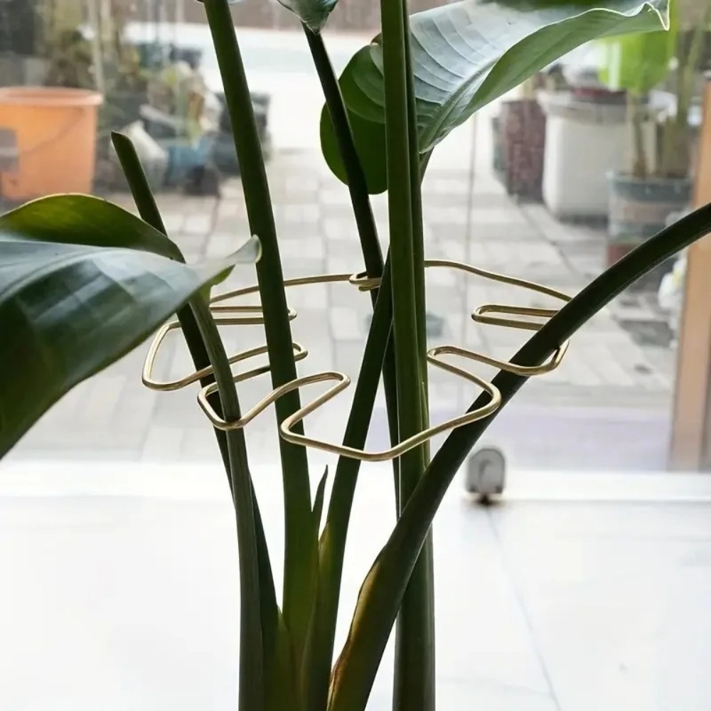 Supporto per Piante da Interno - Variegated Monstera Node recensione e prezzo