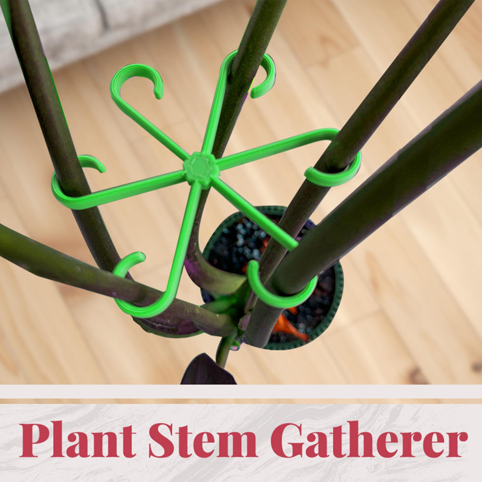 4 Pezzi Clip di Supporto per S - Variegated Monstera Node recensione e prezzo