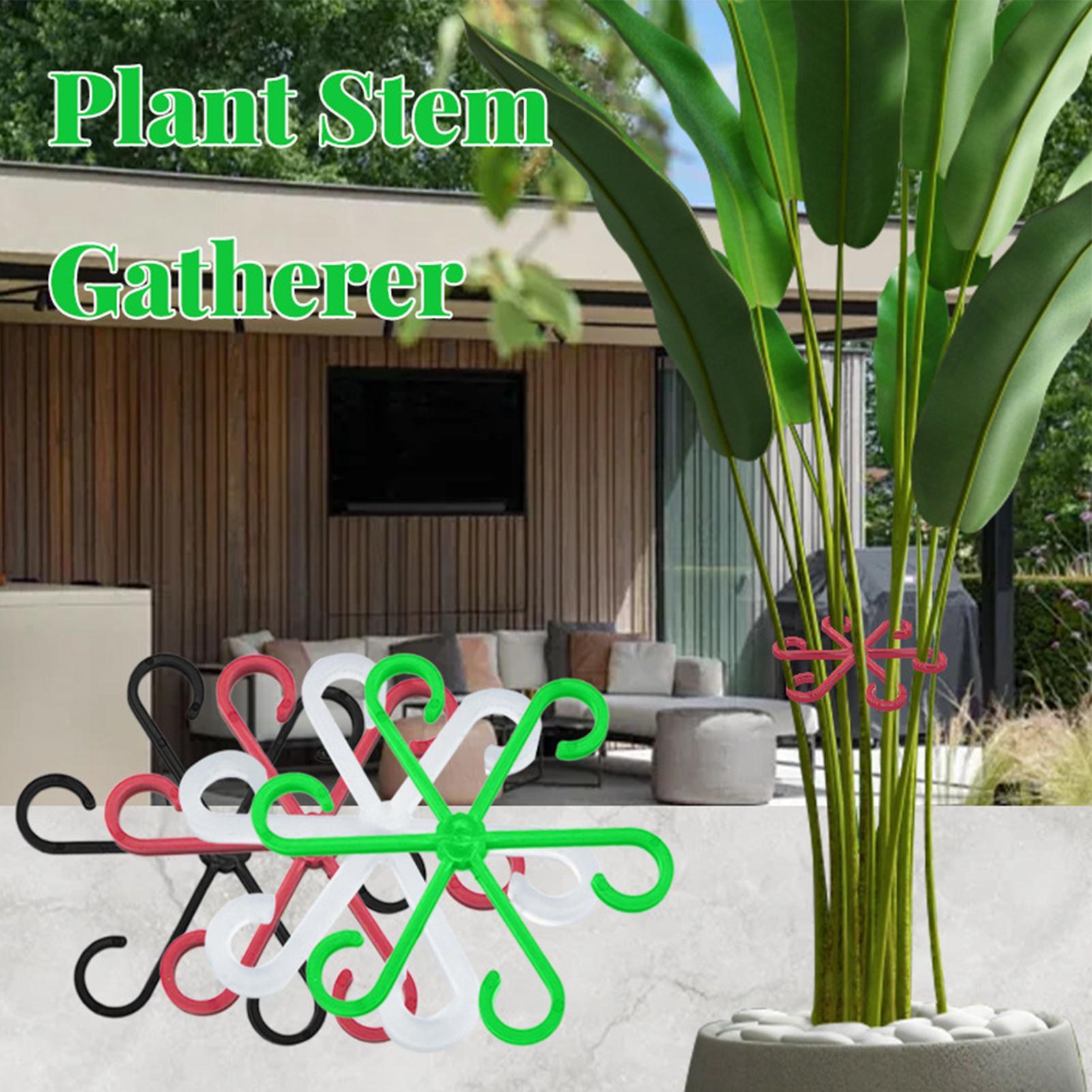 4 Pezzi Clip di Supporto per S - Variegated Monstera Node recensione e prezzo