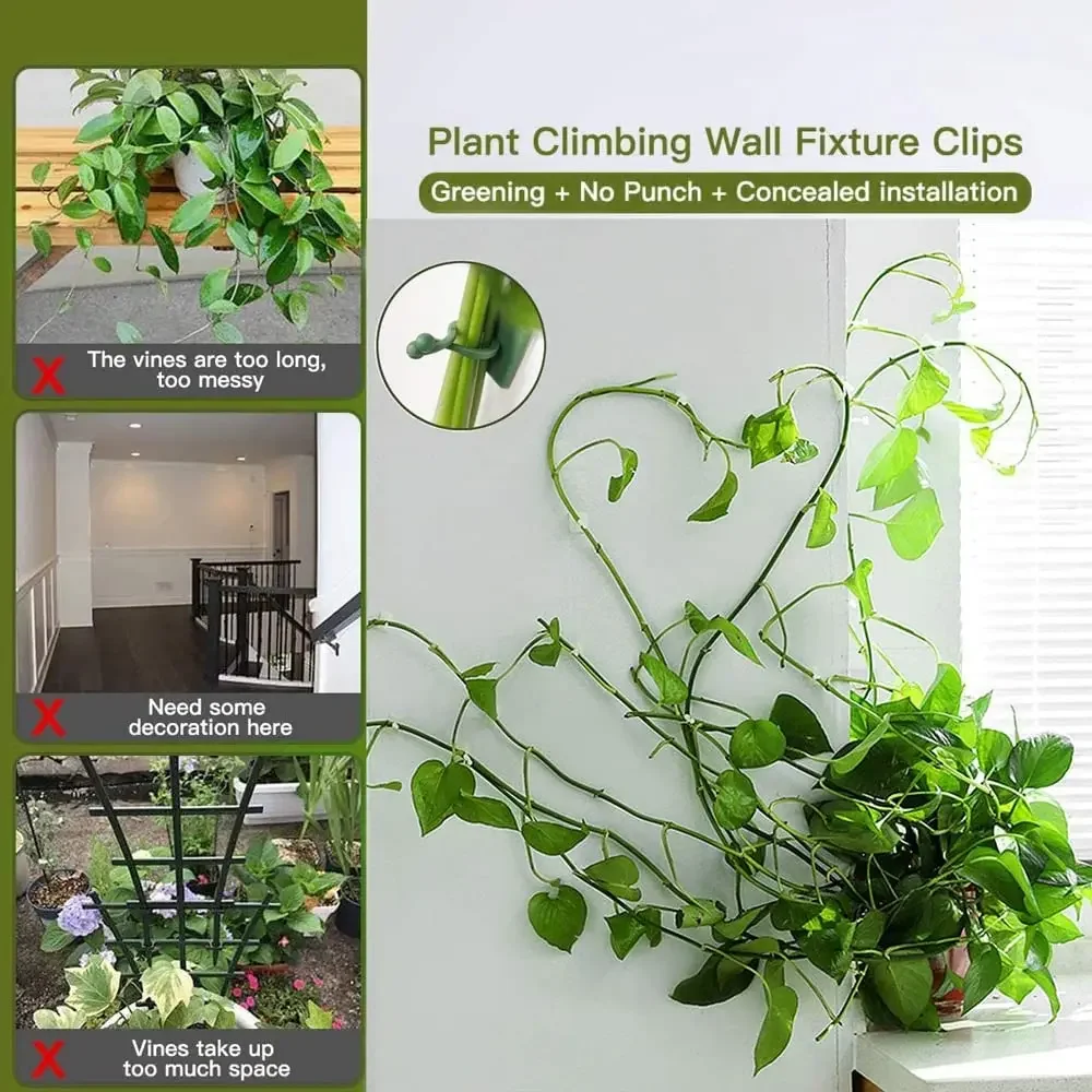 1/30/50 pezzi per accessori da - Plant Parents recensione e prezzo